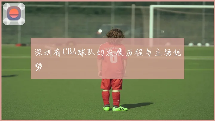 深圳有CBA球队的发展历程与主场优势