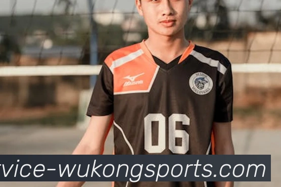 悟空体育发展历程